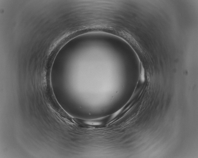 X0000067400676200603311324