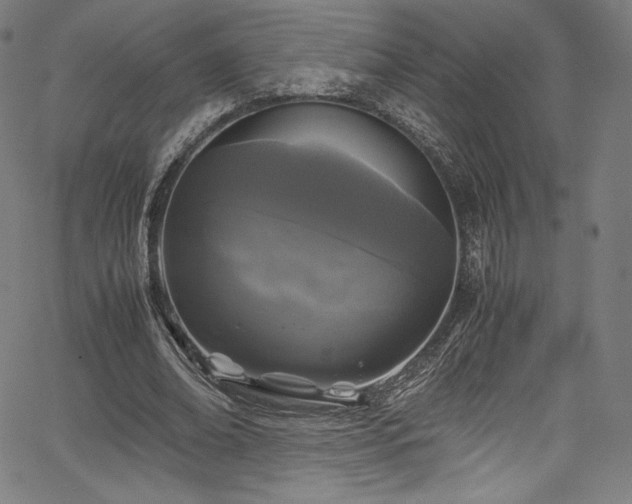 X0000067400678200603311324