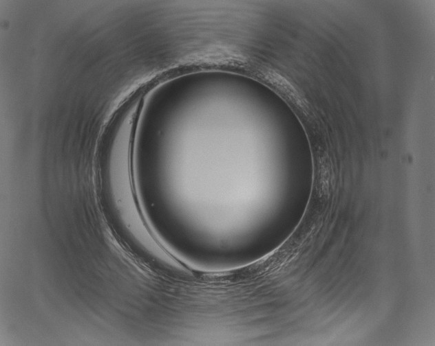 X0000067400680200603311324