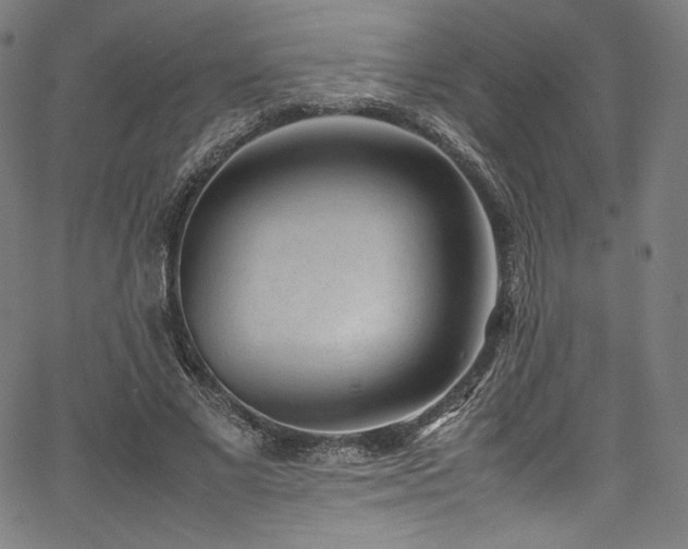 X0000067400685200603311324