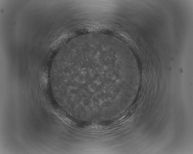 X0000067400691200603311324