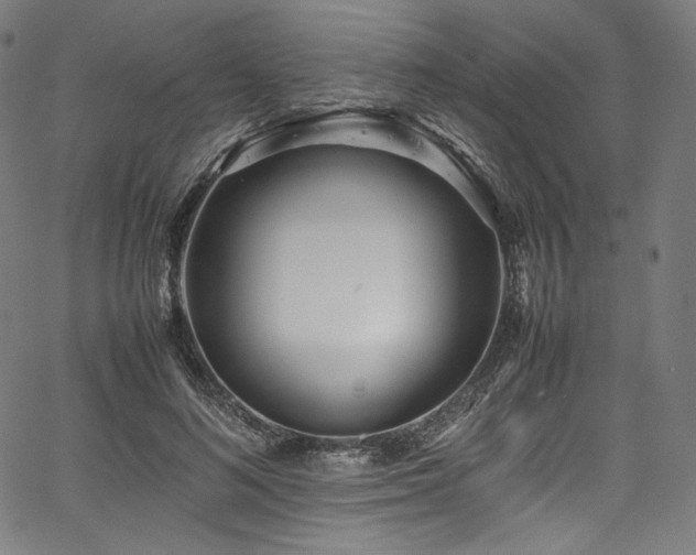 X0000067400692200603311324