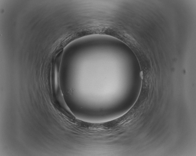 X0000067400693200603311324
