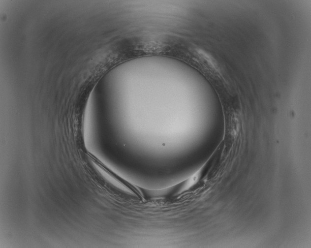 X0000067400697200603311324