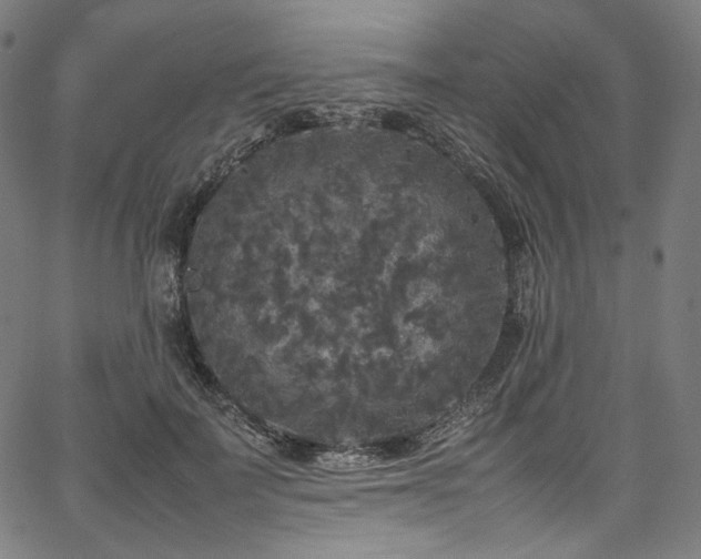 X0000067400699200603311324