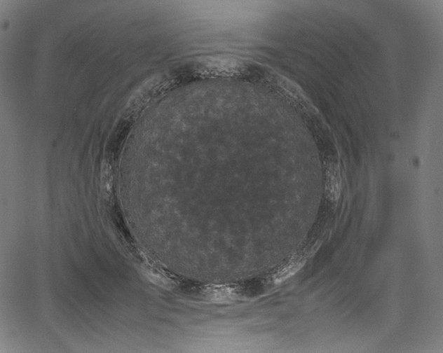 X0000067400701200603311324