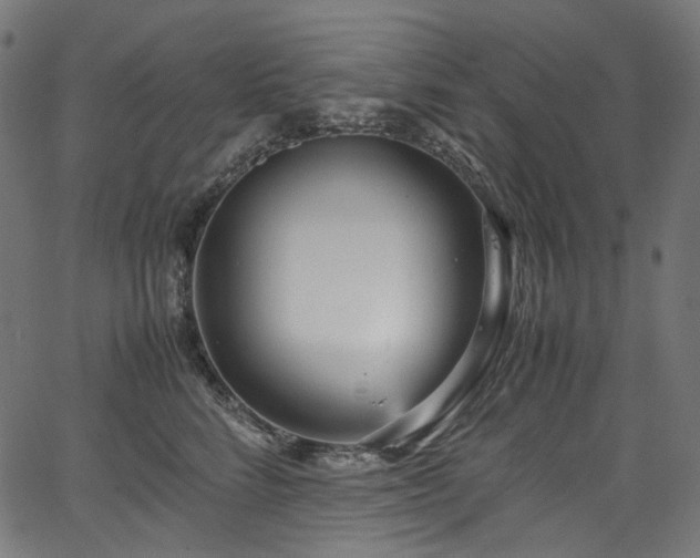X0000067400712200603311324