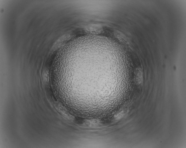 X0000067400713200603311324