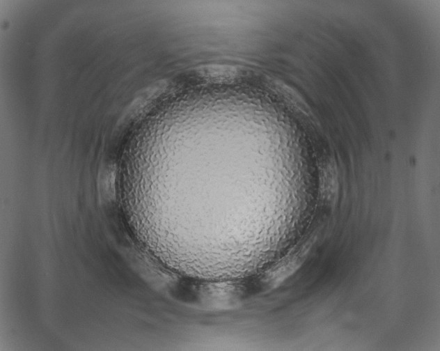 X0000067400717200603311324