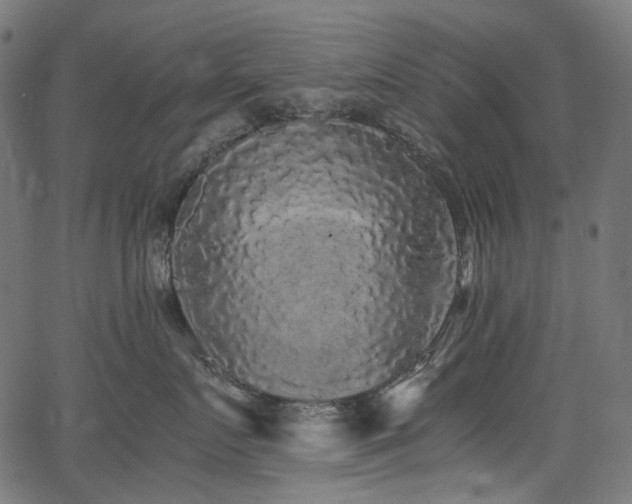 X0000067400719200603311324