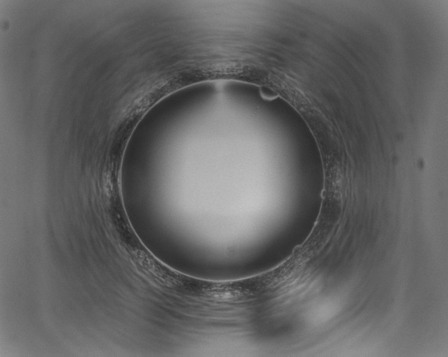 X0000067400746200603311323
