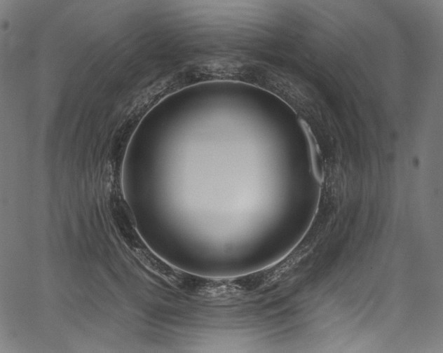 X0000067400752200603311324