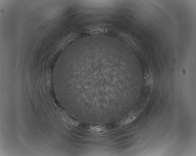 X0000067400753200603311324