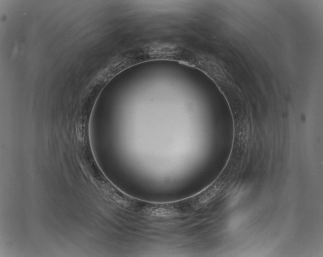 X0000067400755200603311324