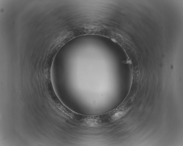 X0000067400756200603311324