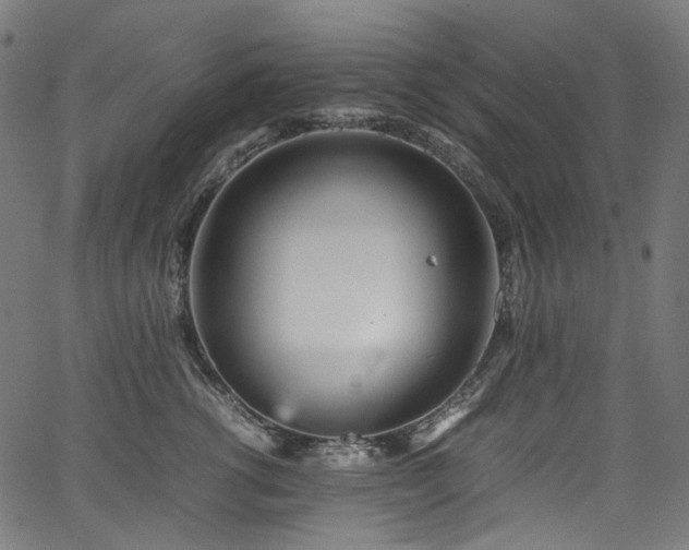X0000067400762200603311324