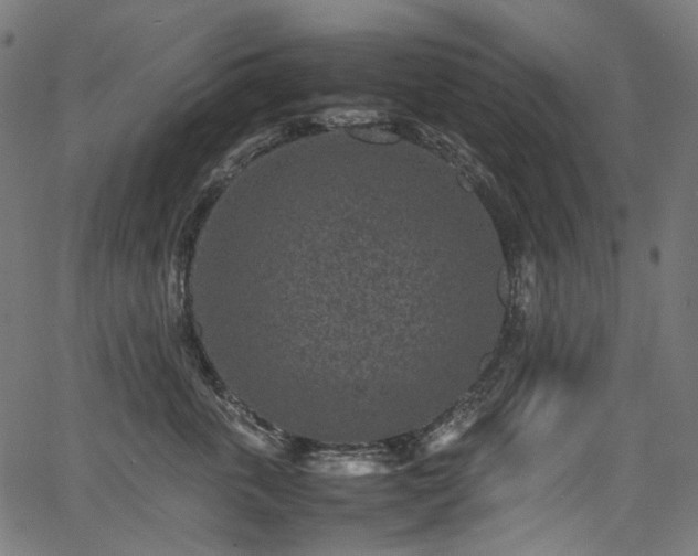X0000067400763200603311324