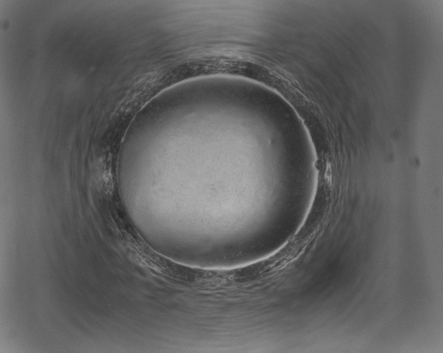 X0000067400771200603311323