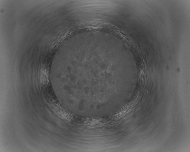 X0000067400772200603311323