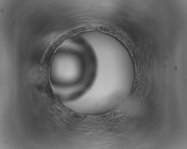 X0000067400773200603311323