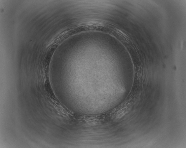 X0000067400774200603311323