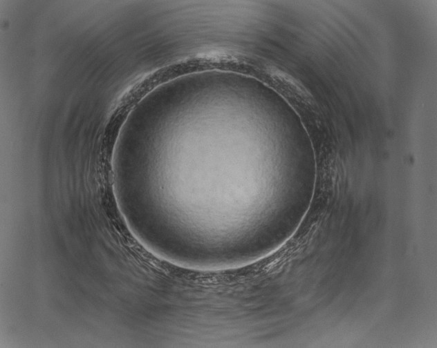 X0000067400776200603311323