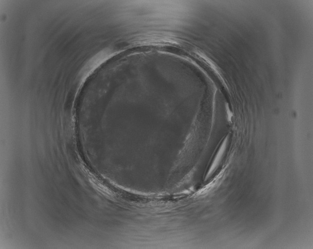 X0000067400779200603311323