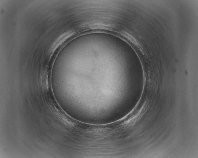 X0000067400782200603311323