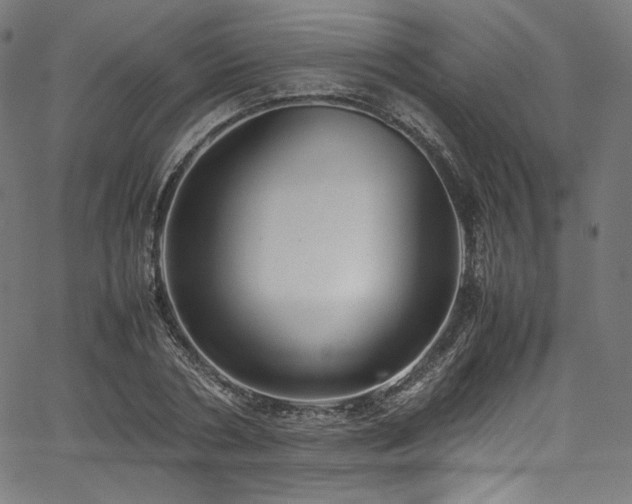 X0000067400786200603311323