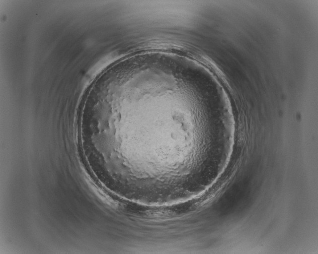 X0000067400795200603311323