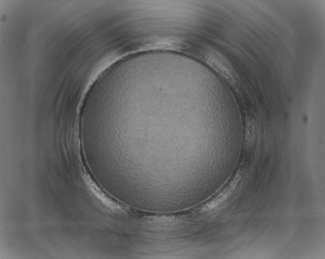 X0000067400800200603311322