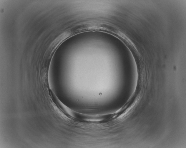 X0000067400801200603311322