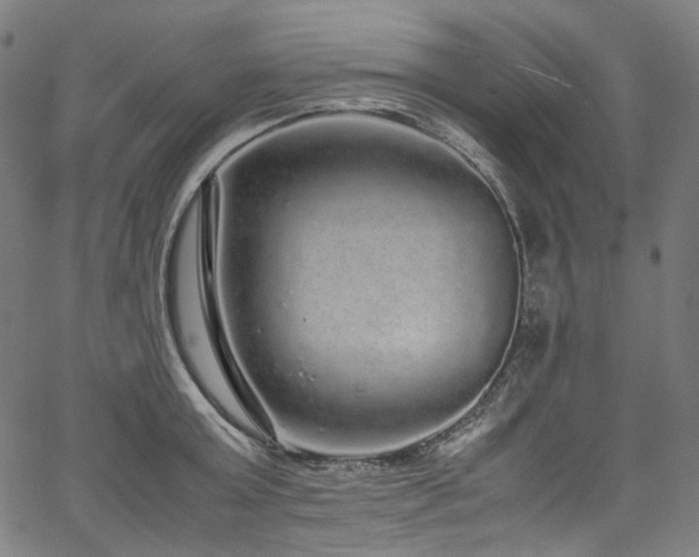 X0000067400803200603311322