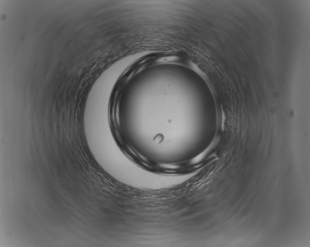 X0000067400818200603311321