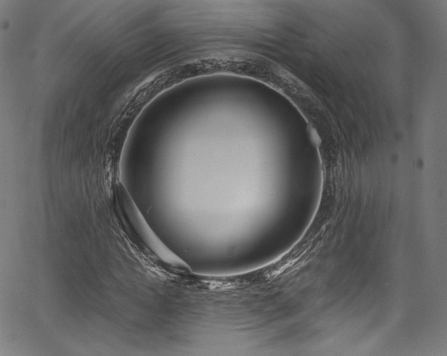 X0000067400822200603311322