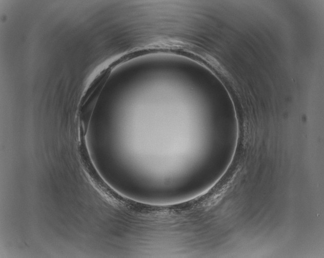 X0000067400838200603311322