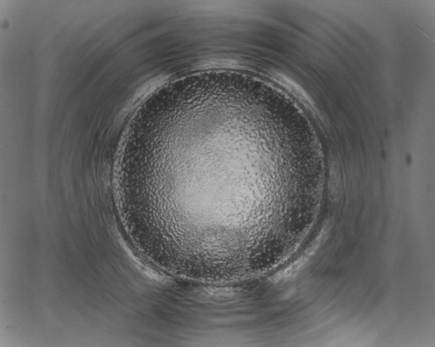 X0000067400849200603311322