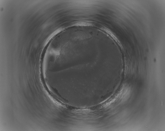 X0000067400853200603311322