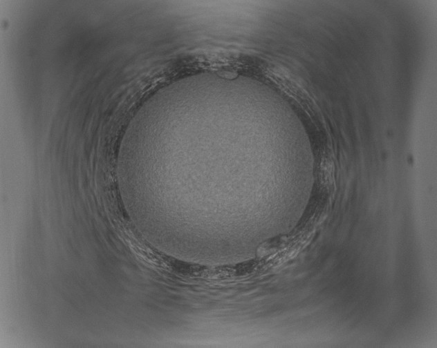 X0000067400865200603311321