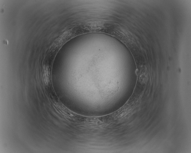 X0000067400866200603311321