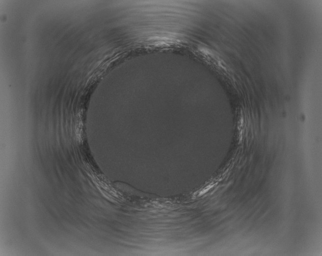 X0000067400868200603311321