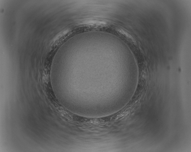 X0000067400869200603311321