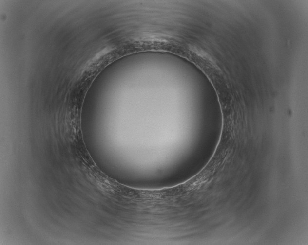 X0000067400870200603311321