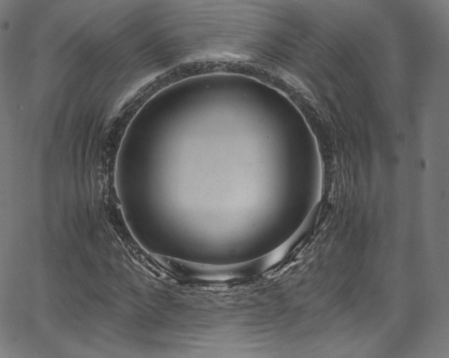 X0000067400872200603311321