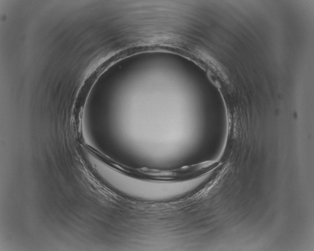 X0000067400876200603311321