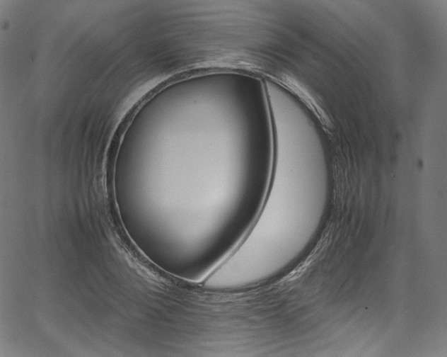 X0000067400884200603311321
