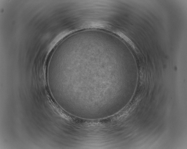 X0000067400886200603311321