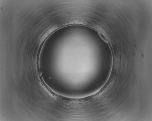 X0000067400898200603311321