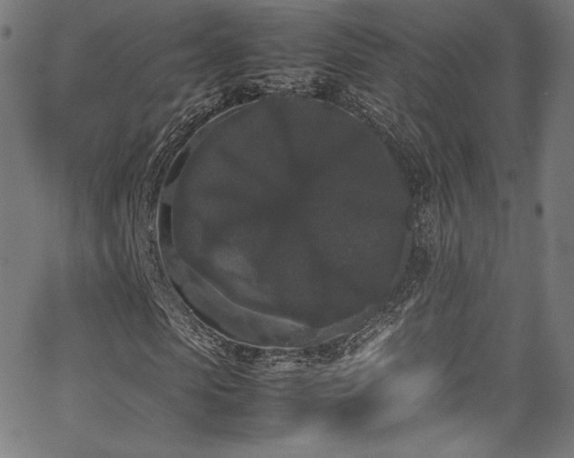 X0000067400913200603311320
