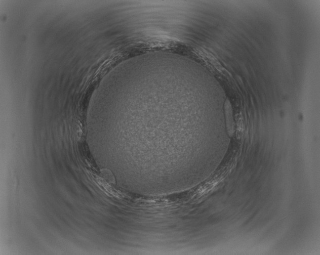 X0000067400916200603311320